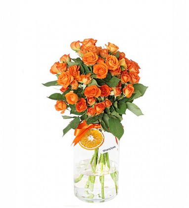 Turuncu Çardak Güller