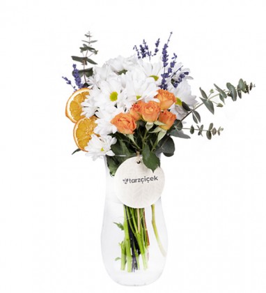 Surprise Rose Daisies