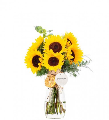 Swetcorn Ayçiçekleri