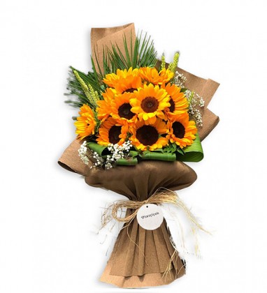 Francisco Ayçiçeği