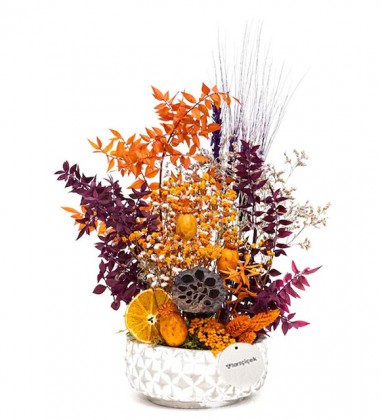 Kuru Bitki Aranjmanı