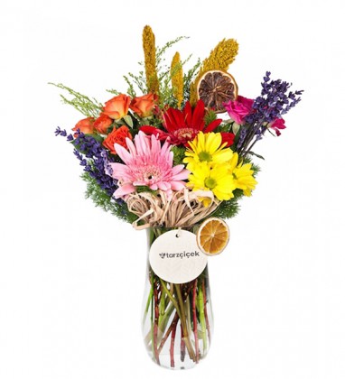 Colorful Love Gerbera