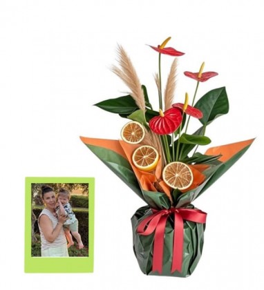 Kişiye Özel Resimli Kırmızı Antoryum Saksı Çiçeği