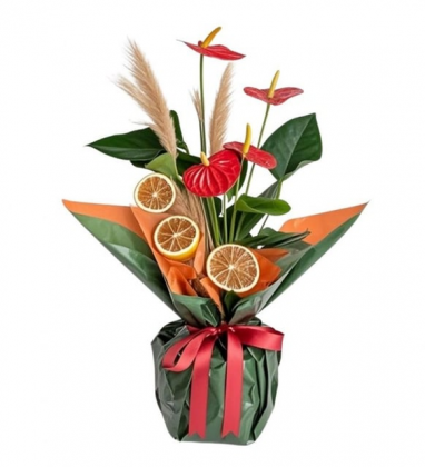 Slowly Antoryum Çiçeği