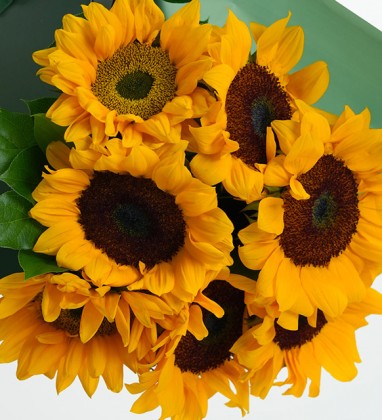 Sunflower Bouquet