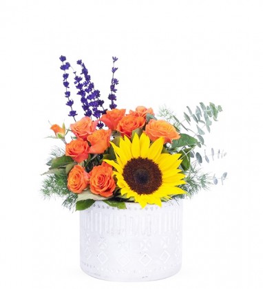 Ay Çiçeği Turuncu Çardak Gül