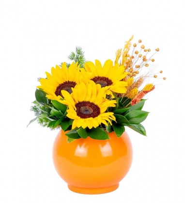 Ayçiçeği Tasarımı