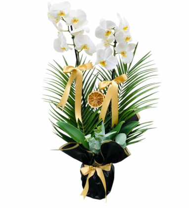 2 Dal Orkide Black White