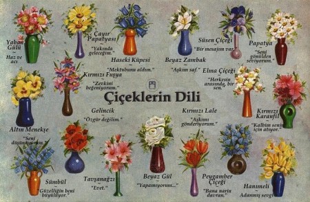 Kelimelerin Yetmediği Yerde: Çiçeklerin Gizli Dili ve Anlamları